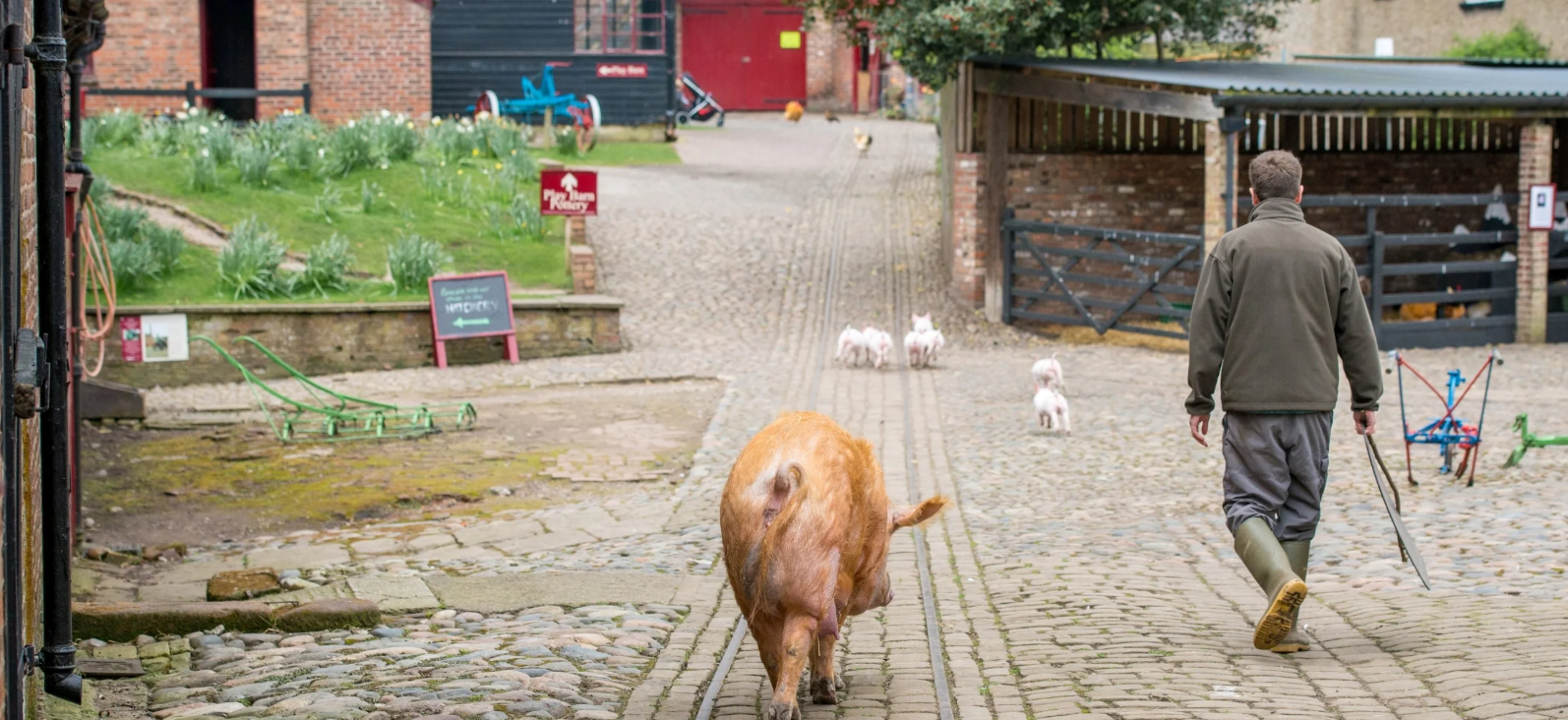 Christmas at Tatton Park Farm